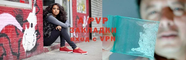 стаф Кинешма