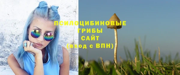 тгк Козельск