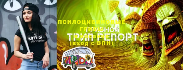 стаф Кинешма